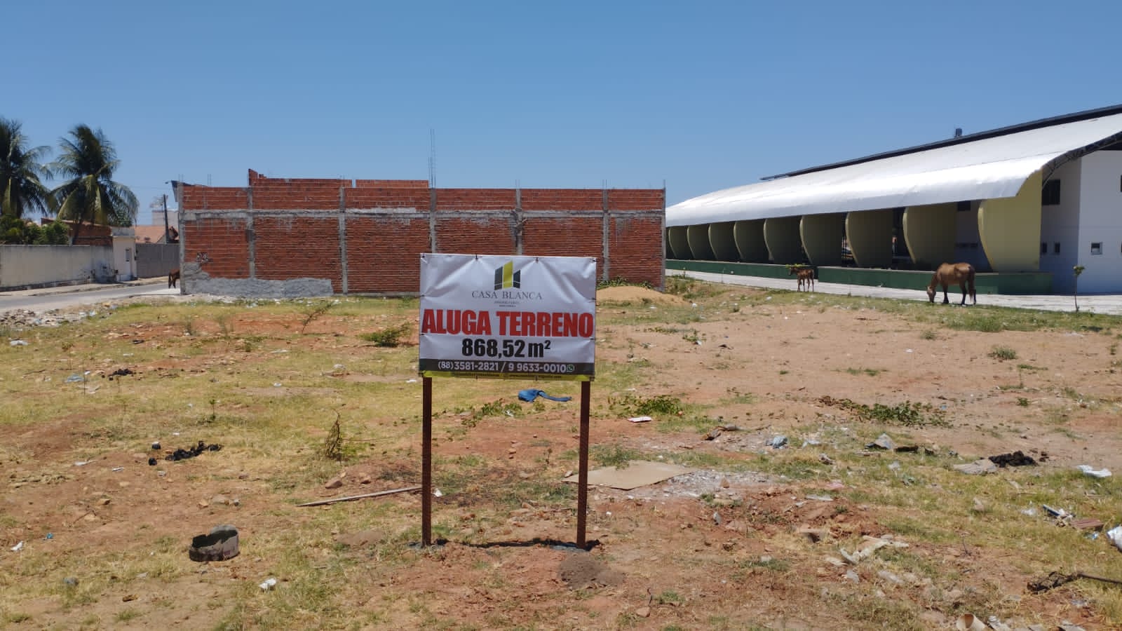 terrenomoacirdesouzarocha2.jpeg