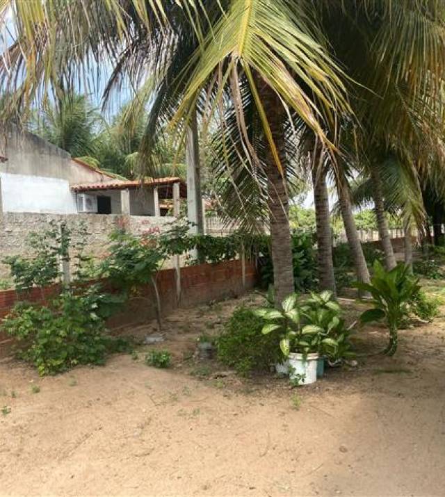 Chactambia021.jpeg
