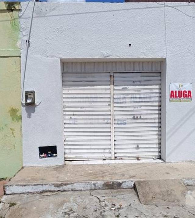 PADMATOS245VB01.jpeg
